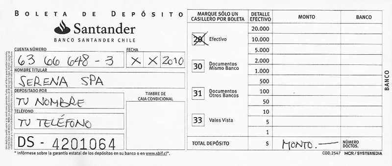 Ejemplo De Boleta De Depósito 2717